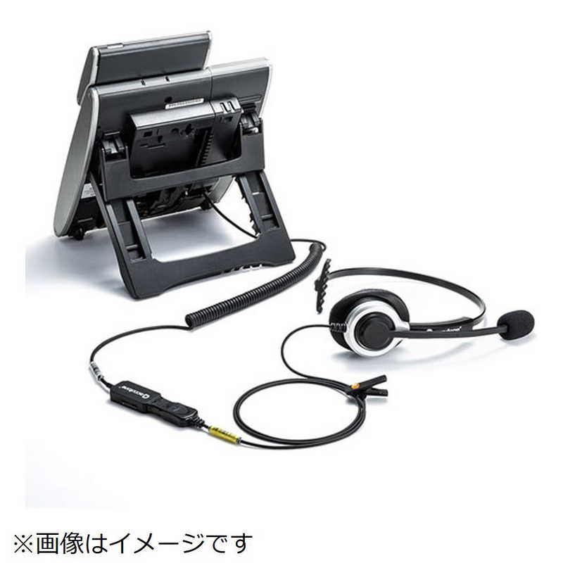 サンワサプライ サンワサプライ 電話用ヘッドセット(片耳タイプ) MM-HSRJ02 MM-HSRJ02