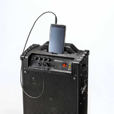 サンワサプライ ワイヤレスマイク付き拡声器スピーカー MM