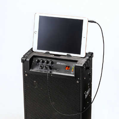 サンワサプライ ワイヤレスマイク付き拡声器スピーカー MM