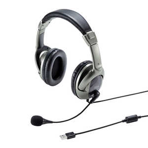 サンワサプライ USBヘッドセット MM-HSU10GMN サンワサプライ USBヘッドセット MM-HSU10GMN