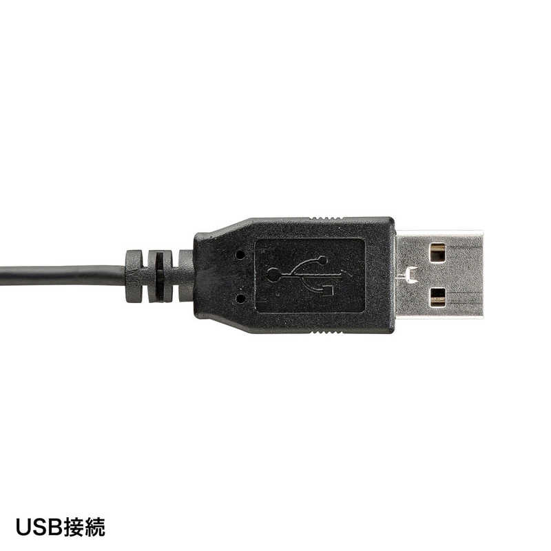 サンワサプライ サンワサプライ USBスタンドマイク MM-MCUSB25N MM-MCUSB25N