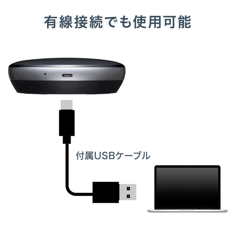 サンワサプライ サンワサプライ スピーカーフォンx2 USB-Aワイヤレス＋USB-A接続 (Mac/Win) ［USB・充電式］ MM-WLMSPSET MM-WLMSPSET