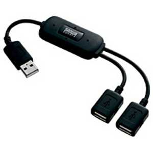 サンワサプライ USB2.0ハブ(2ポｰト) USB-HUB228(BK)(ブラック)
