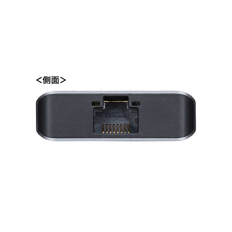 サンワサプライ サンワサプライ 電圧･電流チェッカー[USB-C オス→メス HDMI / LAN / USB-Ax3 / USB-C] USB PD対応 100W ドッキングステーション USB-DKM1 USB-DKM1