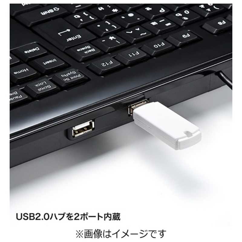 サンワサプライ サンワサプライ キーボード USBハブ付 ブラック SKB-SL21UHBK SKB-SL21UHBK