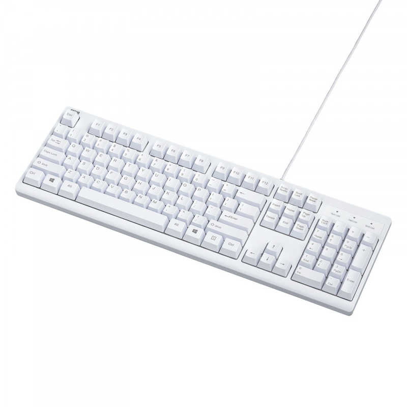 サンワサプライ キーボード 英語配列(Windows11対応) ホワイト [有線 /USB] SKB-E5UW
