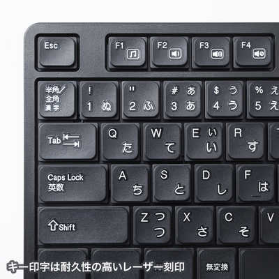 サンワサプライ キーボード・マウスセット 109キー(Windows11