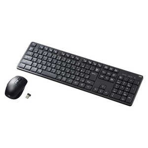 サンワサプライ キーボード・マウスセット 109キー(Windows11対応) ［ワイヤレス /USB］ ブラック SKB-WL37SETBK