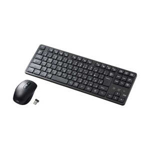 サンワサプライ キーボード・マウスセット 92キー(Windows11対応) ［ワイヤレス /USB］ ブラック SKB-WL38SETBK