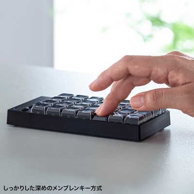 サンワサプライ プログラマブルテンキー Bluetoothモデル NT-BT26BK