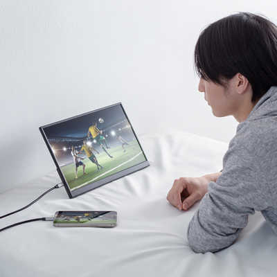 サンワサプライ タッチパネル搭載モバイルモニター(14インチ) DP-08 の