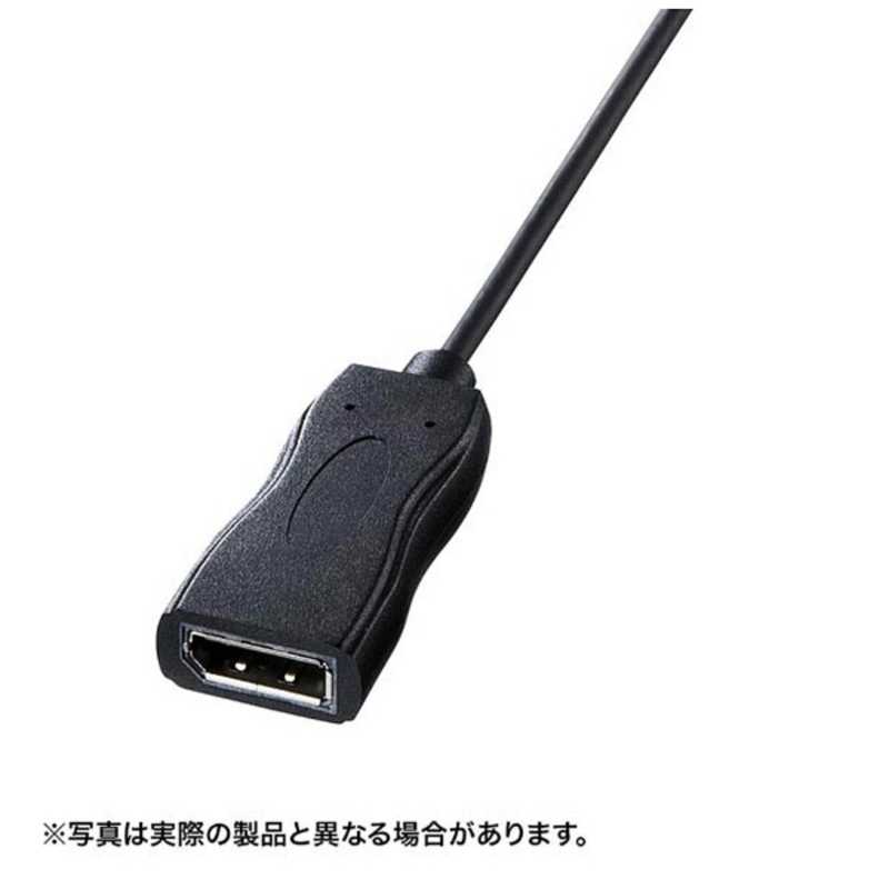 サンワサプライ サンワサプライ 0.11m[USB-C → DisplayPort 4K]変換アダプタ ブラック AD-ALCDP01 AD-ALCDP01