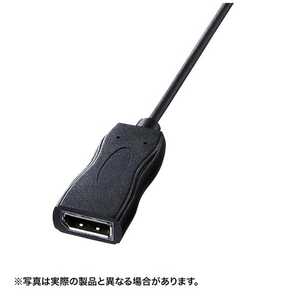 サンワサプライ 0.11m[USB-C → DisplayPort 4K]変換アダプタ ブラック AD-ALCDP01