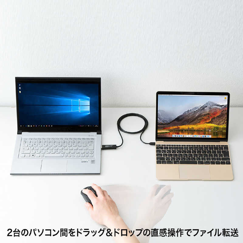 サンワサプライ サンワサプライ ドラッグ&ドロップ対応Type-Cリンクケーブル(Mac/Windows対応) KB-USB-LINK5 KB-USB-LINK5