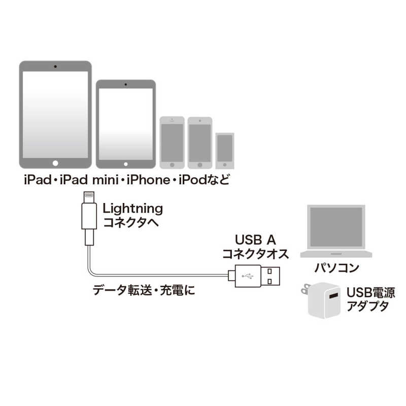 サンワサプライ サンワサプライ ライトニングケーブル(ホワイト･2m) KB-IPLT20K2W KB-IPLT20K2W