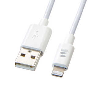 サンワサプライ USB-A ⇔ Lightning 充電･転送ケーブル [0.125m /MFi認証] ホワイト KB-IPLT01K3W