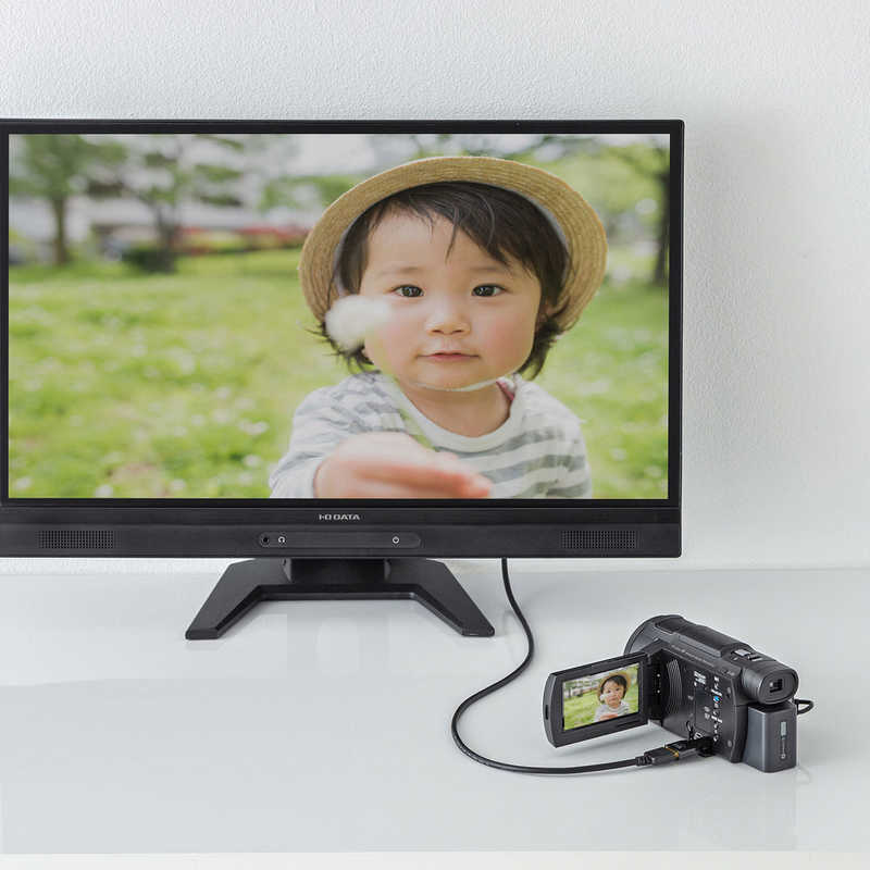 サンワサプライ サンワサプライ HDMI変換アダプタ マイクロHDMI AD-HD09MCK AD-HD09MCK