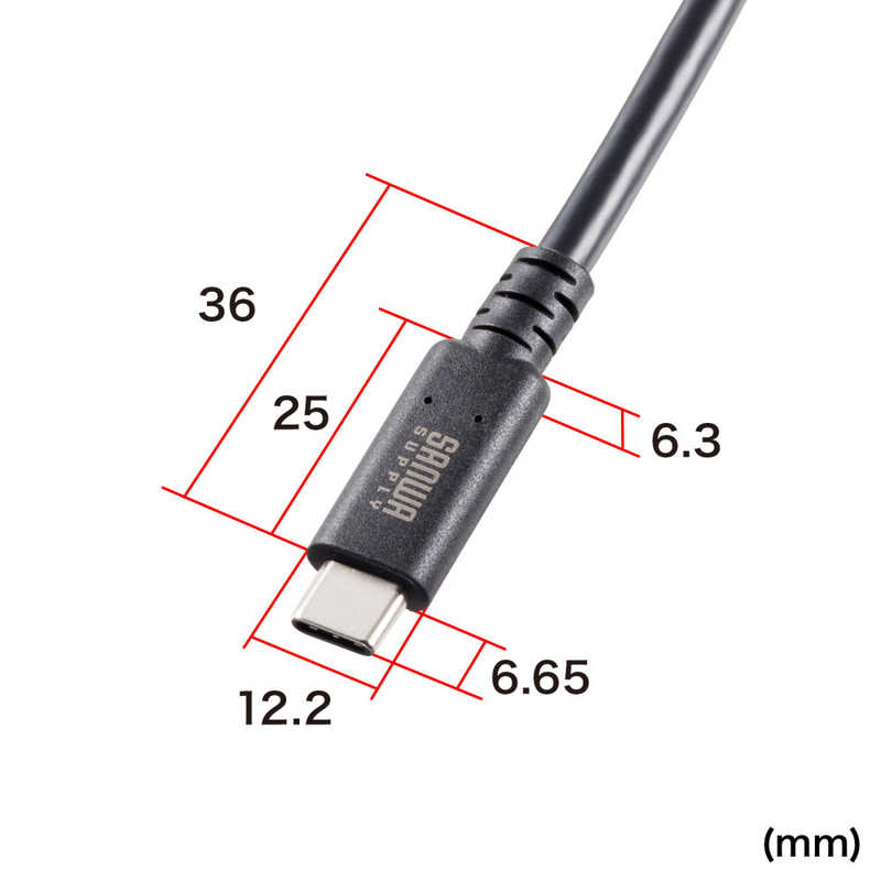 サンワサプライ サンワサプライ USB20Gbps(USB4 Gen2x2)Type-C ケーブル KU20GCCPE10 KU20GCCPE10