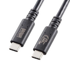 サンワサプライ USB20Gbps(USB4 Gen2x2)Type-C ケーブル KU20GCCPE10