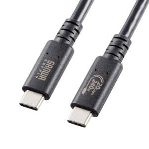サンワサプライ USB20Gbps(USB4 Gen2x2)Type-C ケーブル KU-20GCCPE10 サンワサプライ USB20Gbps(USB4 Gen2x2)Type-C ケーブル KU-20GCCPE10