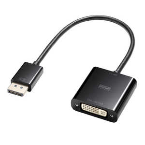 TTvC DisplayPort-DVIϊA_v^(Active^Cv) AD-DPDVA02