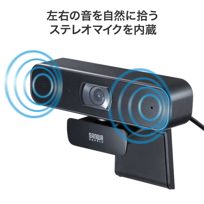 サンワサプライ サンワサプライ ステレオマイク内蔵WEBカメラ CMS-V64BK CMS-V64BK