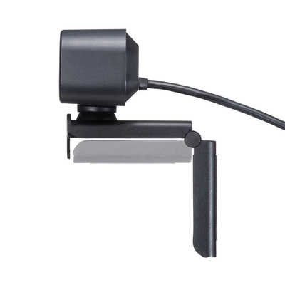 サンワサプライ ステレオマイク内蔵WEBカメラ CMS-V64BK の通販