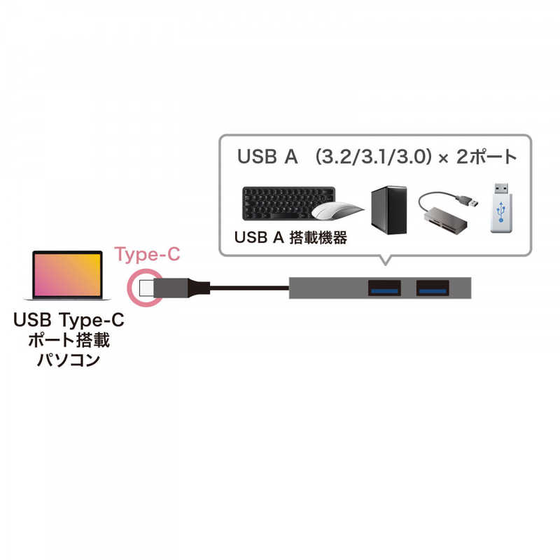 サンワサプライ サンワサプライ USB TypeーC 2ポートスリムハブ USB3TCH24SN USB3TCH24SN