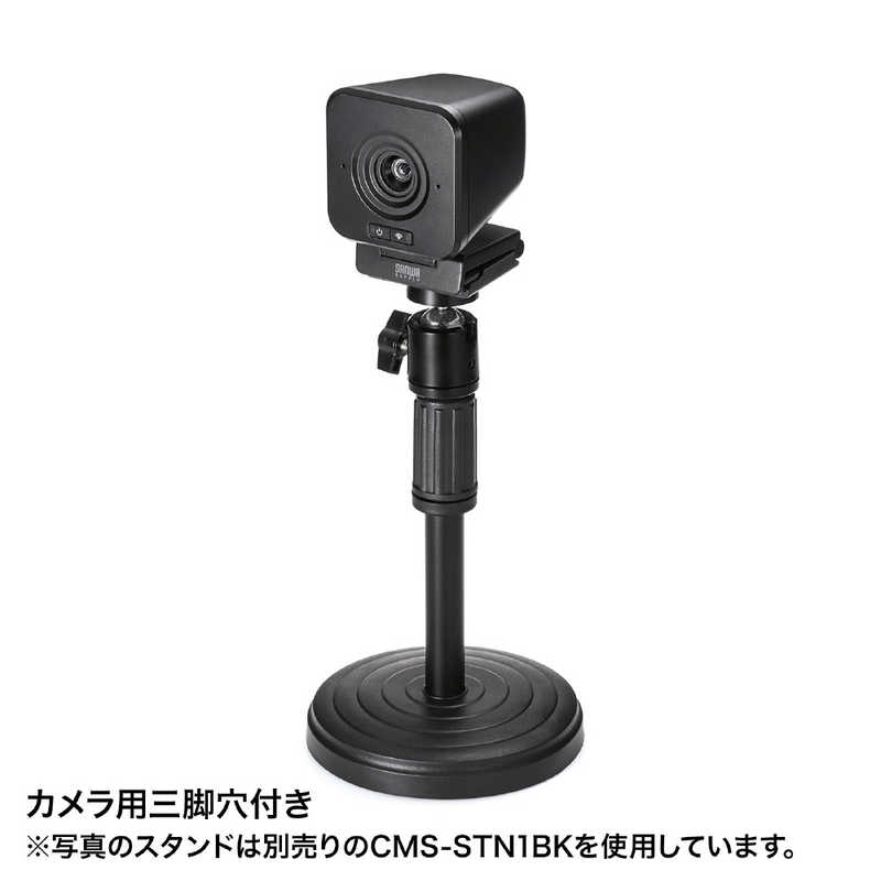 サンワサプライ サンワサプライ ワイヤレスWEBカメラ  CMS-V65BK CMS-V65BK