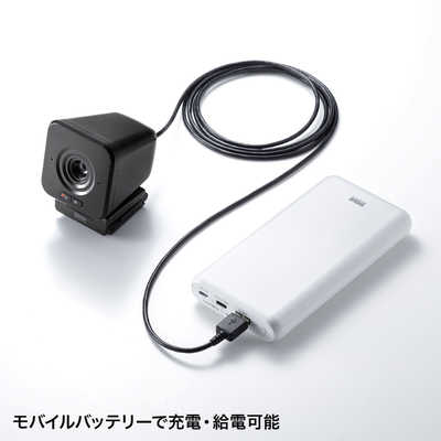 SANWA SUPPLY ワイヤレスWEBカメラ CMS-V65BK サンワサプライ ワイヤレスWEBカメラ CMS-V65BK の通販