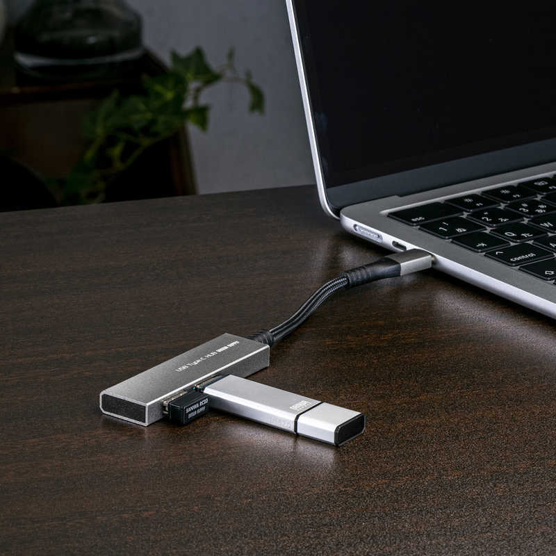 サンワサプライ サンワサプライ USB Type-C 2ポートスリムハブ USB-S3TCH24MS USB-S3TCH24MS