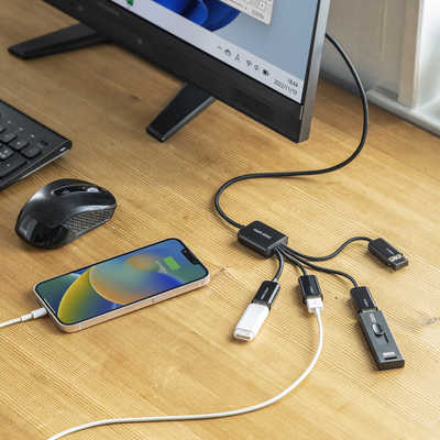 サンワサプライ USB3.2 Gen1＋USB2.0 コンボハブ(4ポート) USB-3H436BK