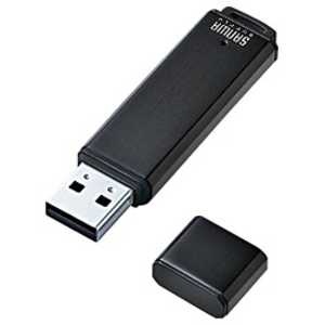 サンワサプライ USB2.0メモリ (4GB) UFD-A4G2BKK