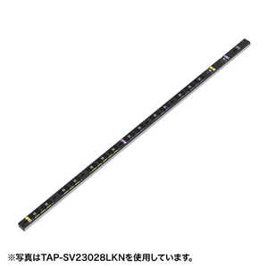 サンワサプライ 19インチサーバーラック用コンセント 200V(30A) 抜け防止ロック機能付き TAP-SV2308LKN