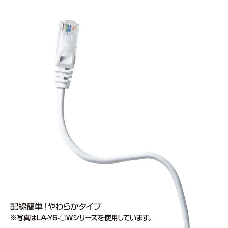 サンワサプライ サンワサプライ カテゴリー6対応 LANケーブル (レッド･2.0m) LA-Y6-02R LA-Y6-02R