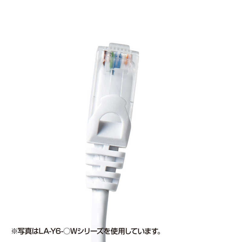 サンワサプライ サンワサプライ カテゴリー6対応 LANケーブル (レッド･3.0m) LA-Y6-03R (レッド) LA-Y6-03R (レッド)