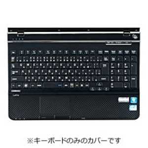 サンワサプライ ノート用キーボード防塵カバー(NEC Lavie Lシリーズ用) FA-NNXV49