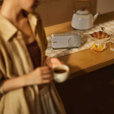 BOSE ボーズ Bluetoothスピーカー ライトシルバー SoundLink BOSE ボーズ Bluetoothスピーカー ライトシルバー SoundLink