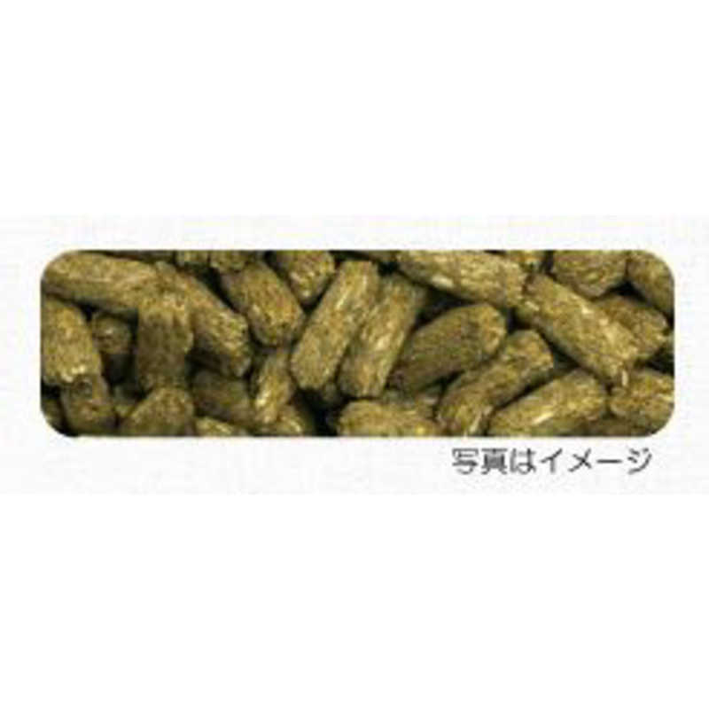 イースター プレミアムレシピヘアボールケアメンテナンス (1kg) ペットフード の通販 | カテゴリ：日用品・化粧品・医薬品 | イースター  家電通販のコジマネット - 全品代引き手数料無料