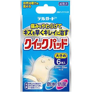 阿蘇製薬 デルガード クイックパッド 大きめ 6枚 ｸｲｯｸﾊﾟｯﾄﾞ