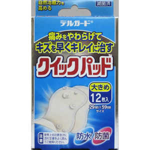 阿蘇製薬 デルガード クイックパッド 大きめサイズ 12枚入 阿蘇製薬 デルガード クイックパッド 大きめサイズ 12枚入