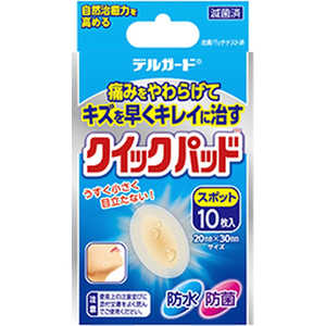 阿蘇製薬 デルガード クイックパッド スポット 10枚入 阿蘇製薬 デルガード クイックパッド スポット 10枚入