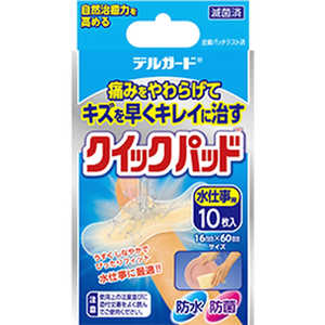 阿蘇製薬 デルガード クイックパッド 水仕事用 10枚入 阿蘇製薬 デルガード クイックパッド 水仕事用 10枚入