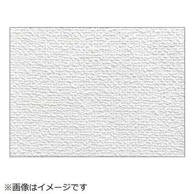 アサヒペン AP 簡単スーパー生のりカベ紙 RKN21 の通販 - カテゴリ