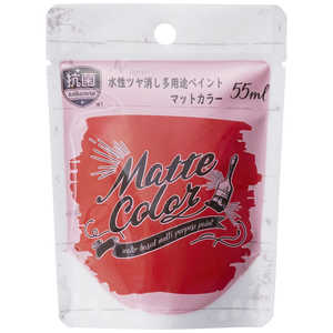 ҥڥ AP ¿ӥޥå ǥʥå 55ml 9019056