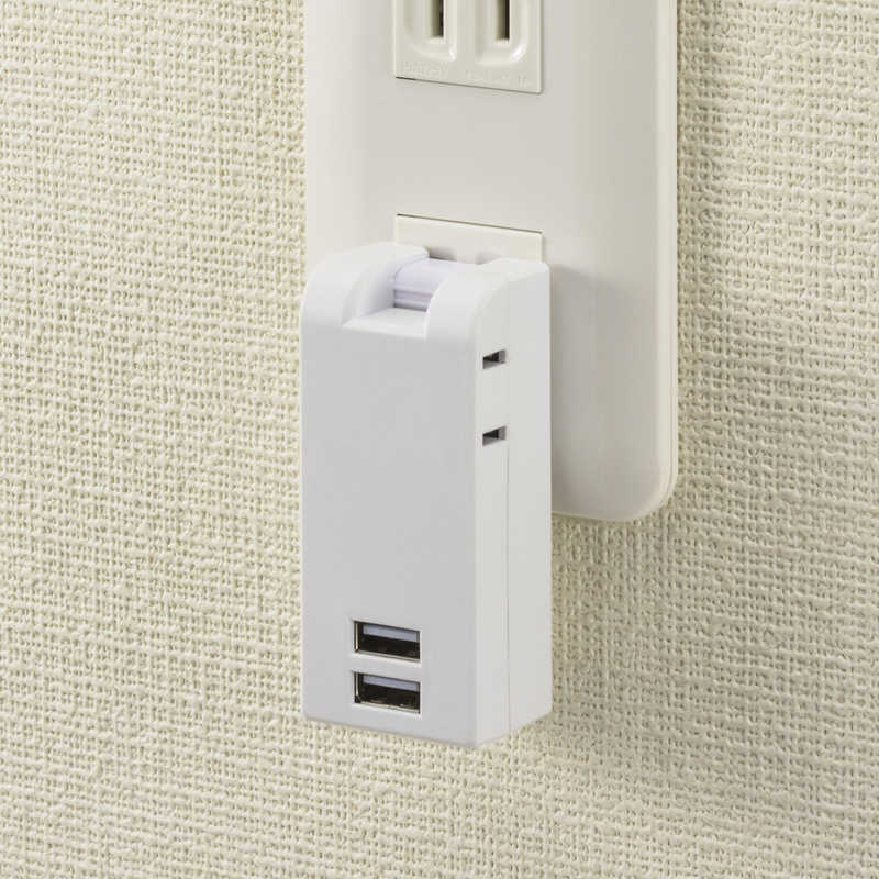 ORIGINALBASIC ORIGINALBASIC USB付き電源タップ ［直挿し /2個口 /スイッチ無 /2ポート］ 白 OBR-T202A-W OBR-T202A-W