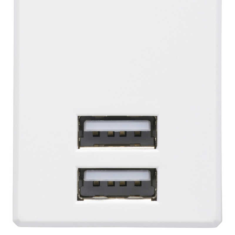 ORIGINALBASIC ORIGINALBASIC USB付き電源タップ ［直挿し /2個口 /スイッチ無 /2ポート］ 白 OBR-T202A-W OBR-T202A-W