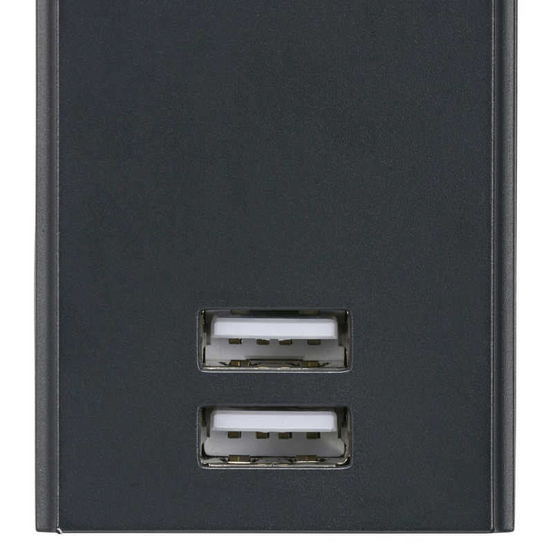 ORIGINALBASIC ORIGINALBASIC USB付き電源タップコード有り ［1.0m /2個口 /スイッチ無 /2ポート］ 黒 OBR-T212A-K OBR-T212A-K