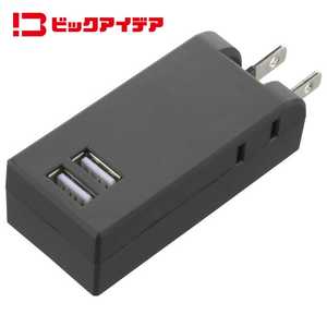 ビックアイデア USB付き電源タップ直挿し2個口2ポート ［直挿し / 2個口 / スイッチ無 / 2ポート］ ブラック BIM-UT202A1K