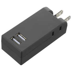 ビックアイデア USB付き電源タップ直挿し2個口2ポート ［直挿し / 2個口 / スイッチ無 / 2ポート］ ブラック BIM-UT202A1K